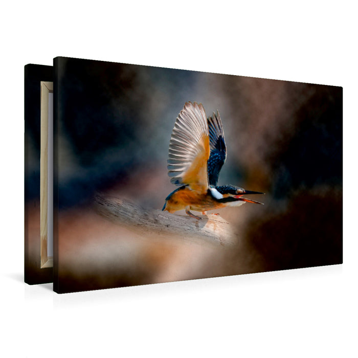 Premium Textil-Leinwand Wunderschöner Eisvogel