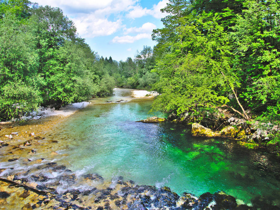 Smaragdgrüne Savica - CALVENDO Foto-Puzzle'