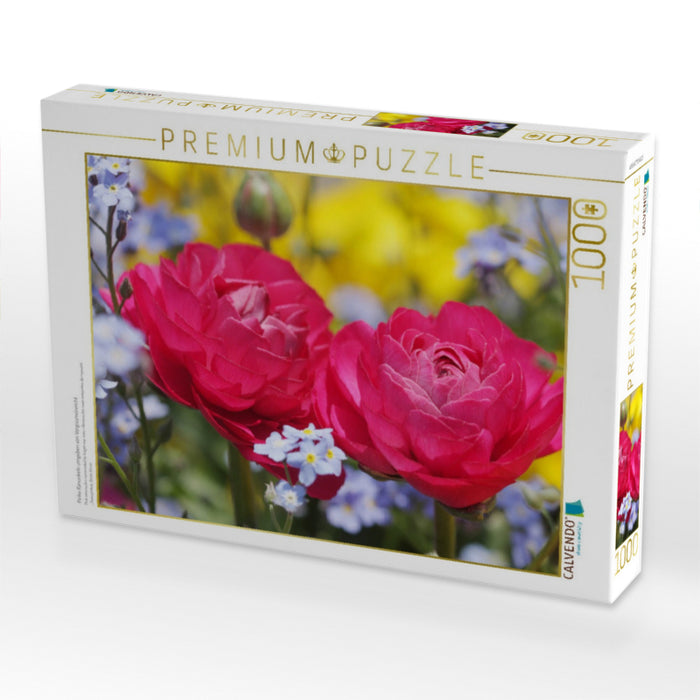 Pinke Ranunkeln umgeben von Vergissmeinnicht - CALVENDO Foto-Puzzle'