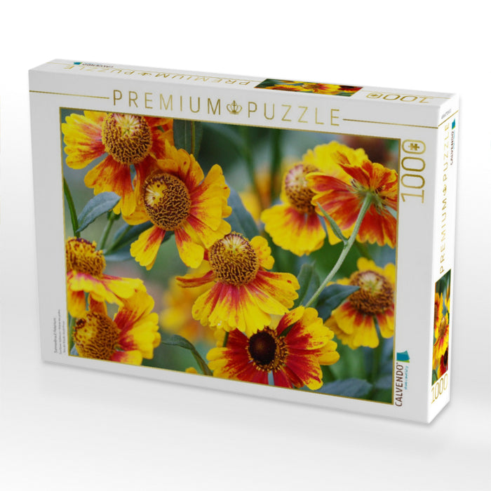 Sonnenbraut Helenium - CALVENDO Foto-Puzzle'
