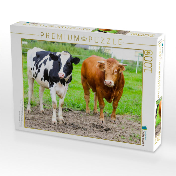 Limousin-Bulle Silas mit Frau - CALVENDO Foto-Puzzle'