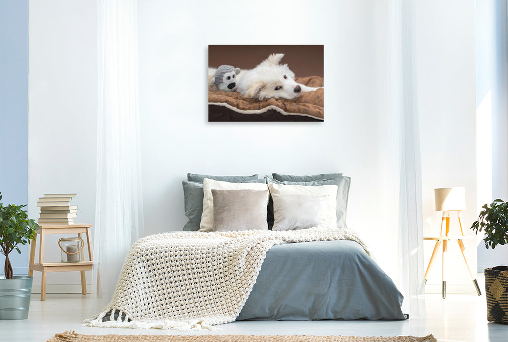 Premium Textil-Leinwand Premium Textil-Leinwand 120 cm x 80 cm quer Junger Islandhund beim Chillen