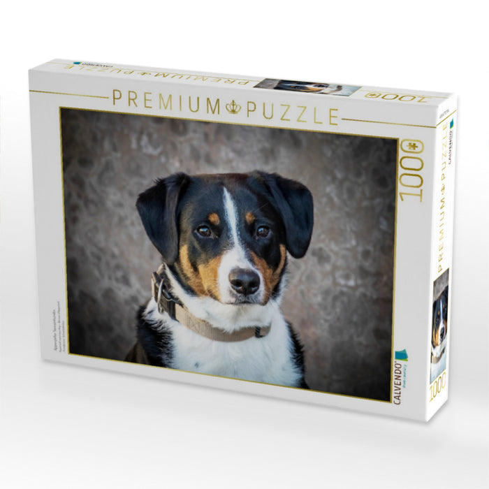 Appenzeller Sennenhündin - CALVENDO Foto-Puzzle'