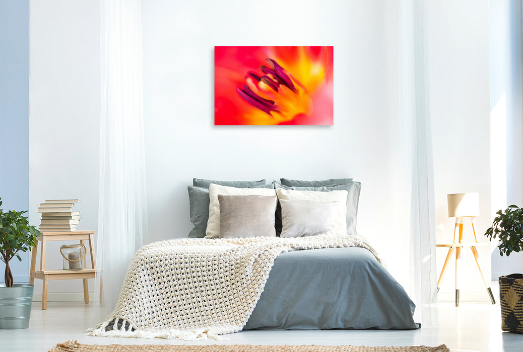 Premium Textil-Leinwand Premium Textil-Leinwand 120 cm x 80 cm quer Blütendetails: Blick in eine Tulpenblüte