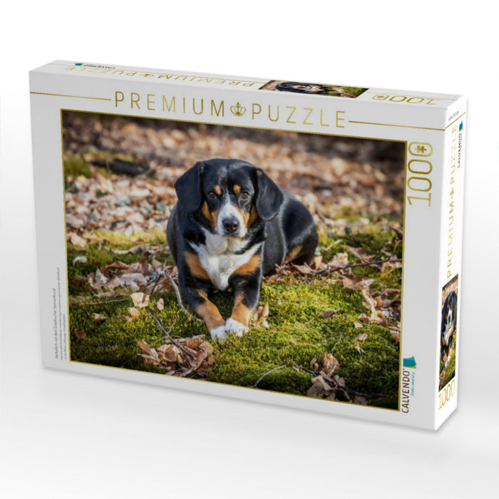Herbstlich mit dem Entelbucher Sennenhund - CALVENDO Foto-Puzzle'