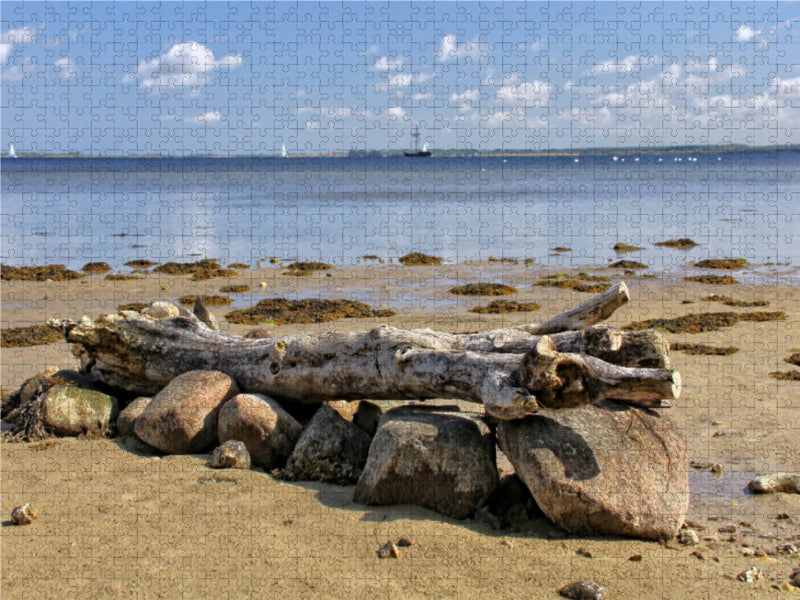 Treibholz am wilden Strand 1000 Teile Puzzle quer - CALVENDO Foto-Puzzle'