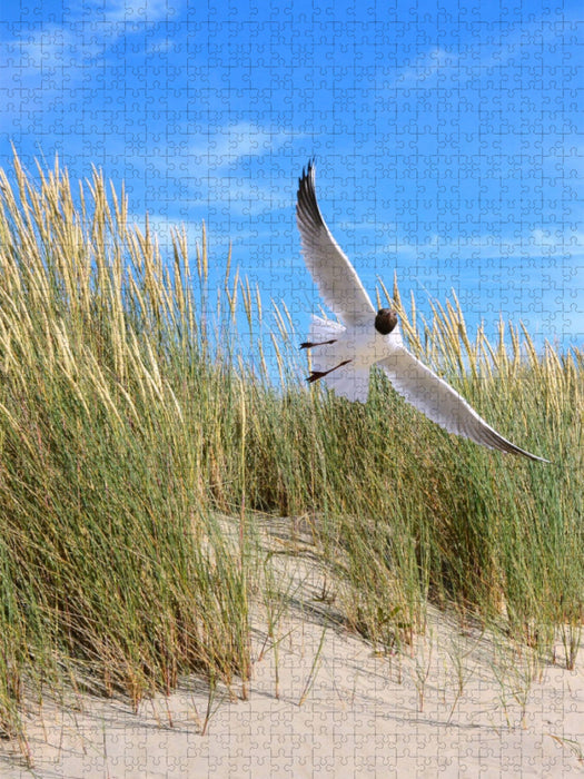 Seeschwalbe - CALVENDO Foto-Puzzle'