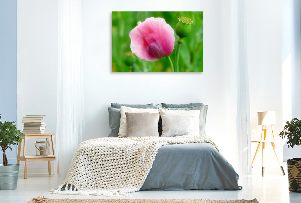 Toile textile premium Toile textile premium 120 cm x 80 cm paysage fleur de coquelicot 