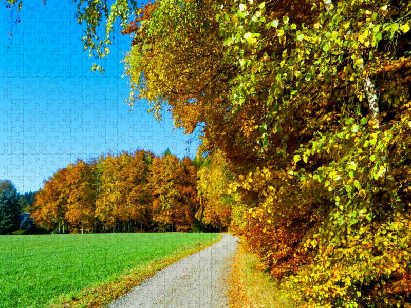 Goldener Herbst - CALVENDO Foto-Puzzle'
