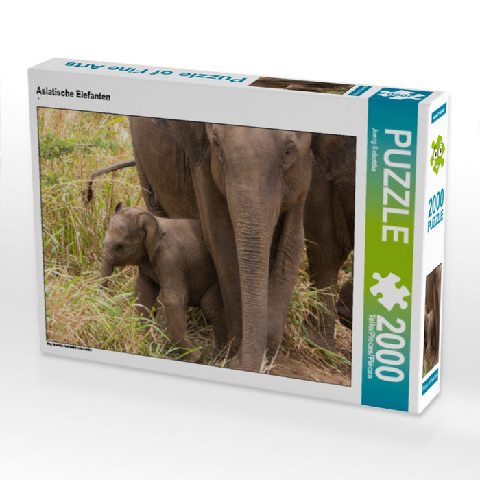 Asiatische Elefanten 2000 Teile Puzzle quer - CALVENDO Foto-Puzzle'