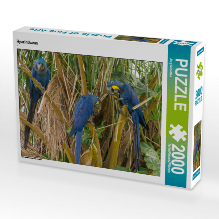 Hyazintharas 2000 Teile Puzzle quer - CALVENDO Foto-Puzzle'