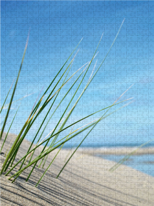 Strandgras 2000 Teile Puzzle hoch - CALVENDO Foto-Puzzle'