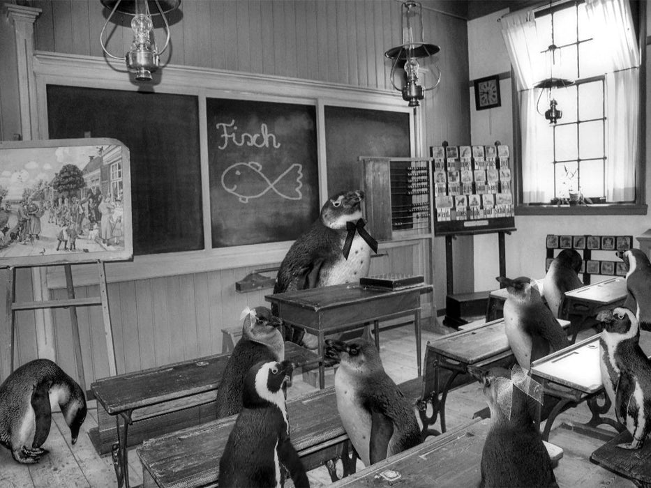 In der Schule - CALVENDO Foto-Puzzle'