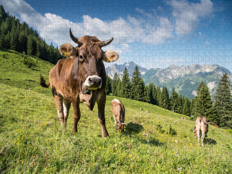Auf der Sommerweide - CALVENDO Foto-Puzzle'
