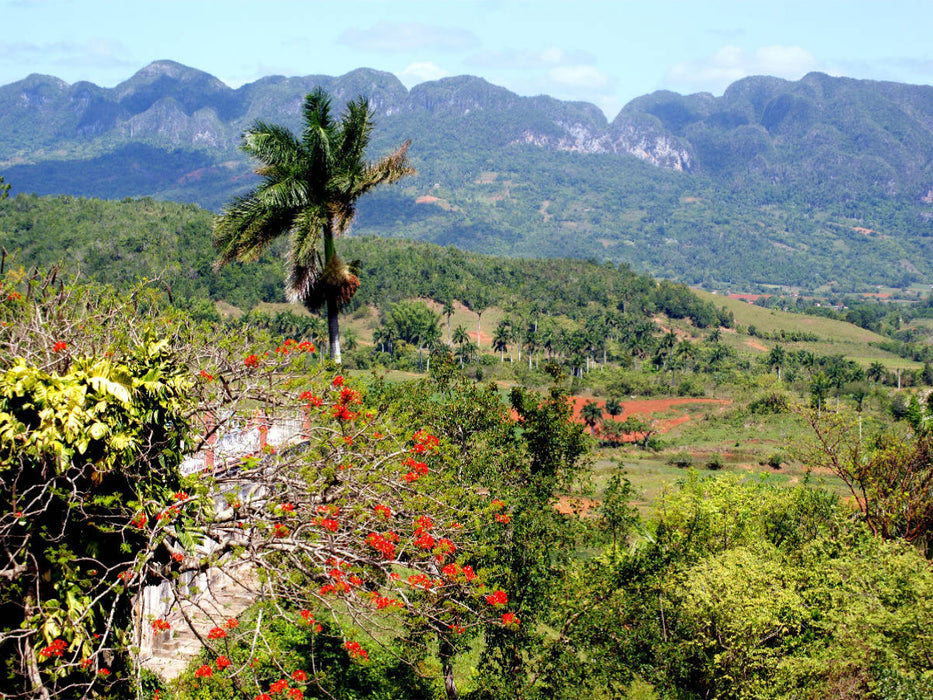Blick vom Aussichtspunkt Los Jazmines im Tal von Vinales auf Kuba - CALVENDO Foto-Puzzle'