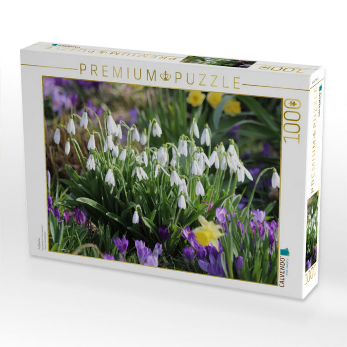 Frühblüher - CALVENDO Foto-Puzzle'