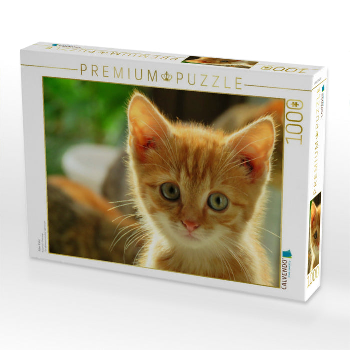 Roter Kater - CALVENDO Foto-Puzzle'