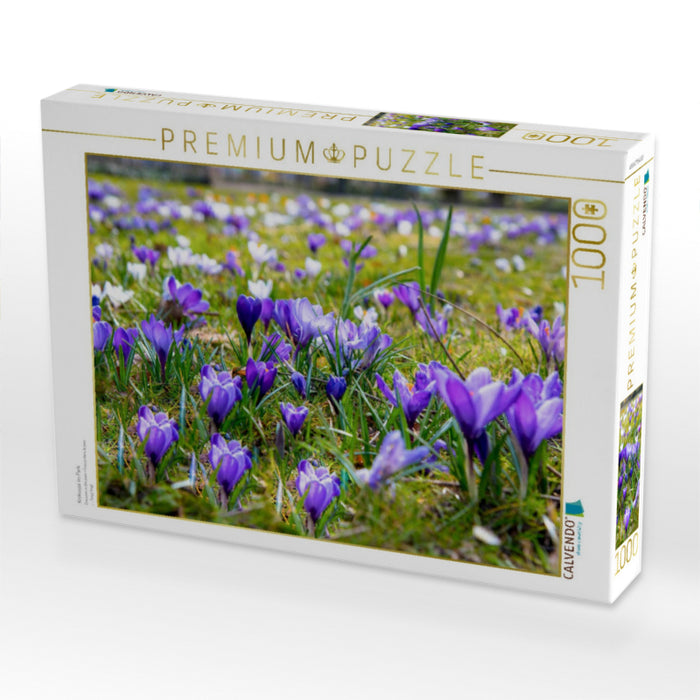 Krokusse im Park - CALVENDO Foto-Puzzle'