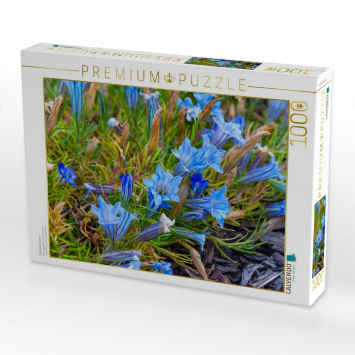 Blühender Enzian - CALVENDO Foto-Puzzle'
