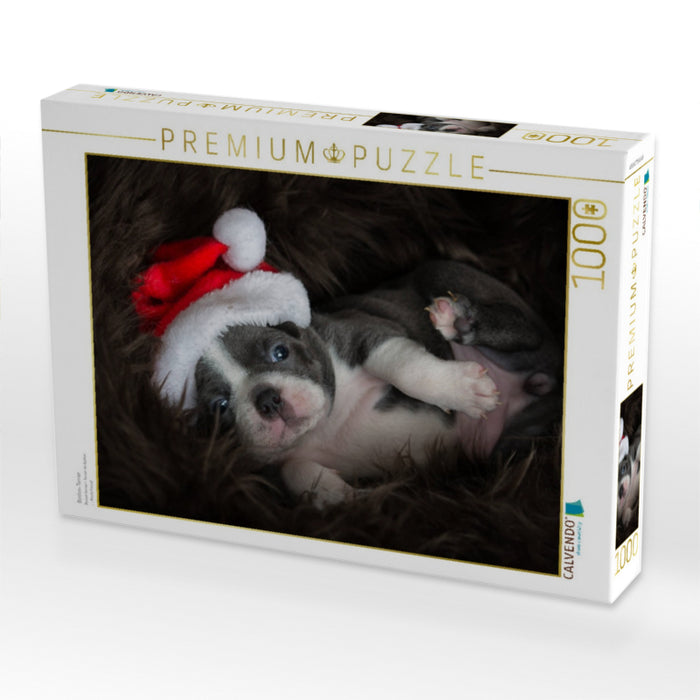 Boston-Terrier - CALVENDO Foto-Puzzle'