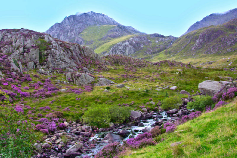 Premium Textil-Leinwand Zufluss zum See Idwal