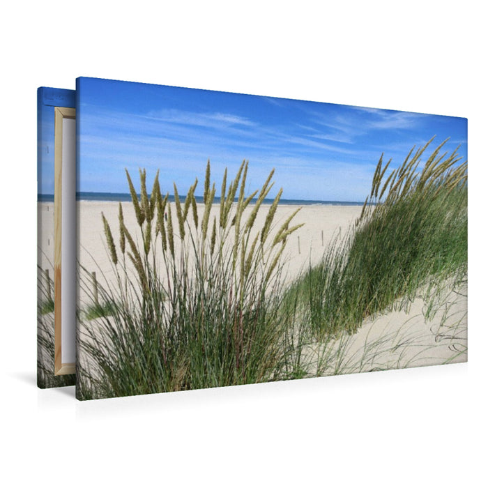 Premium Textil-Leinwand Strandhafer im Sommer
