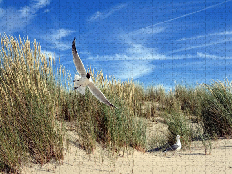 Möwen und Seeschwalbe in einer Düne - CALVENDO Foto-Puzzle'