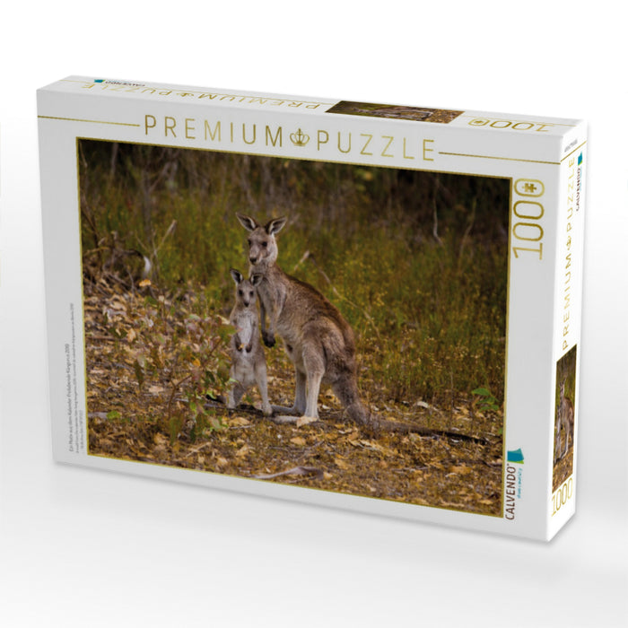 Ein Motiv aus dem Kalender Freilebende Kängurus 2019 - CALVENDO Foto-Puzzle'