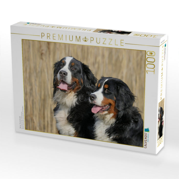 Berner Sennenhunde - CALVENDO Foto-Puzzle'