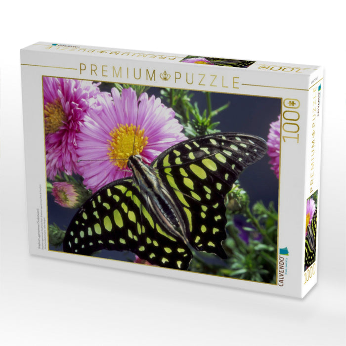 Graphium agamemnon (Südostasien) - CALVENDO Foto-Puzzle'