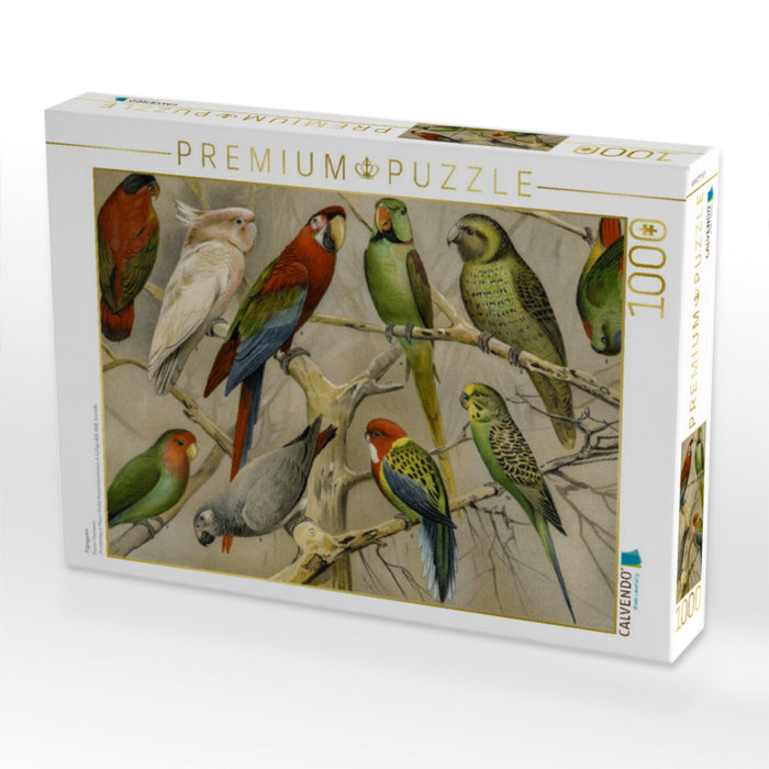 Papageien - CALVENDO Foto-Puzzle'