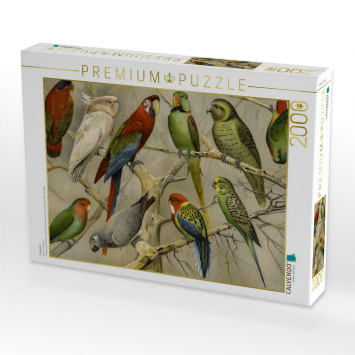 Papageien - CALVENDO Foto-Puzzle'