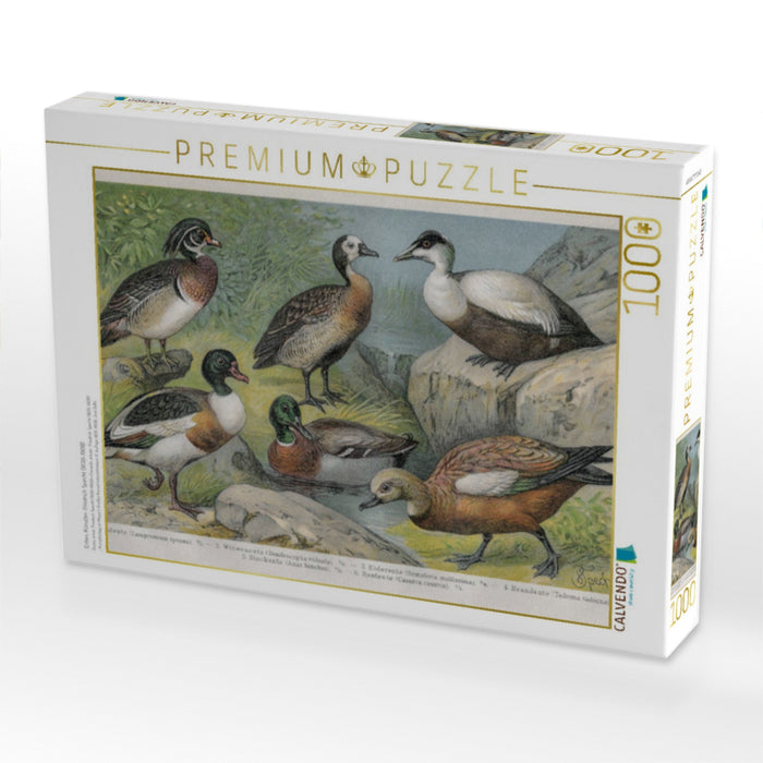 Enten, Künstler: Friedrich Specht (1839-1909) - CALVENDO Foto-Puzzle'