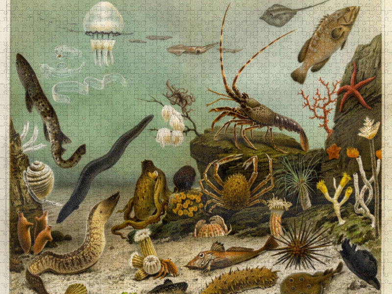 Seewasser-Aquarium, Künstler: Adolf Giltsch (1852-1911) Jena - CALVENDO Foto-Puzzle'