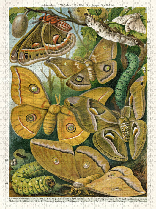 Seidenspinner, Künstler: E. Morin (1824-1882) - CALVENDO Foto-Puzzle'