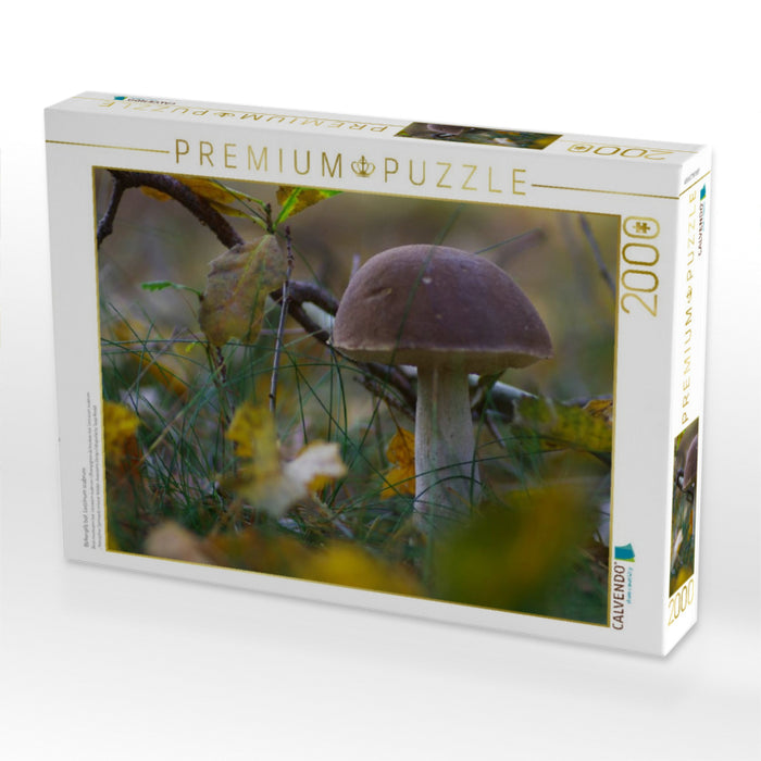 Birkenpilz bot. Leccinum scabrum - CALVENDO Foto-Puzzle'