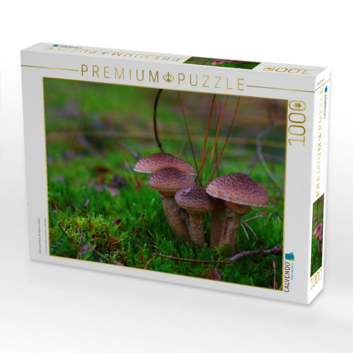 Hallimasch bot. Armillaria mellea - CALVENDO Foto-Puzzle'
