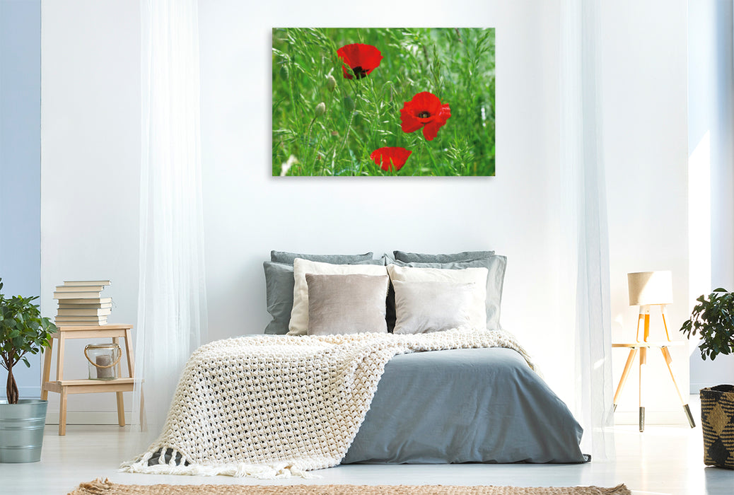 Toile textile premium Toile textile premium 120 cm x 80 cm paysage Un motif du calendrier Poppies Dreams 