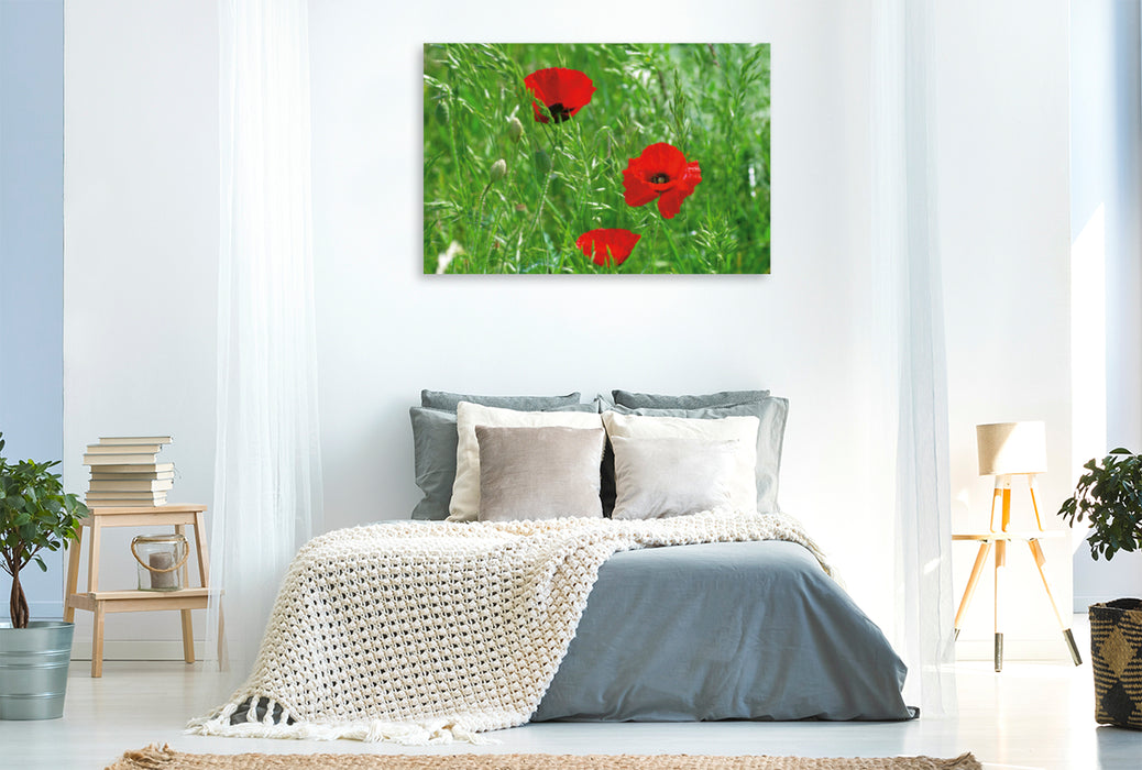 Premium Textil-Leinwand Premium Textil-Leinwand 120 cm x 80 cm quer Ein Motiv aus dem Kalender Poppies Träume