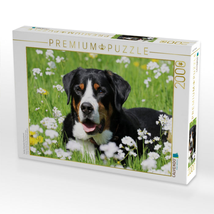 Großer Schweizer Sennenhund - CALVENDO Foto-Puzzle'