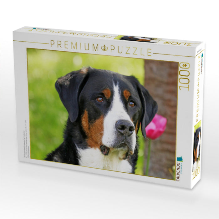 Portrait Großer Schweizer Sennenhund - CALVENDO Foto-Puzzle'