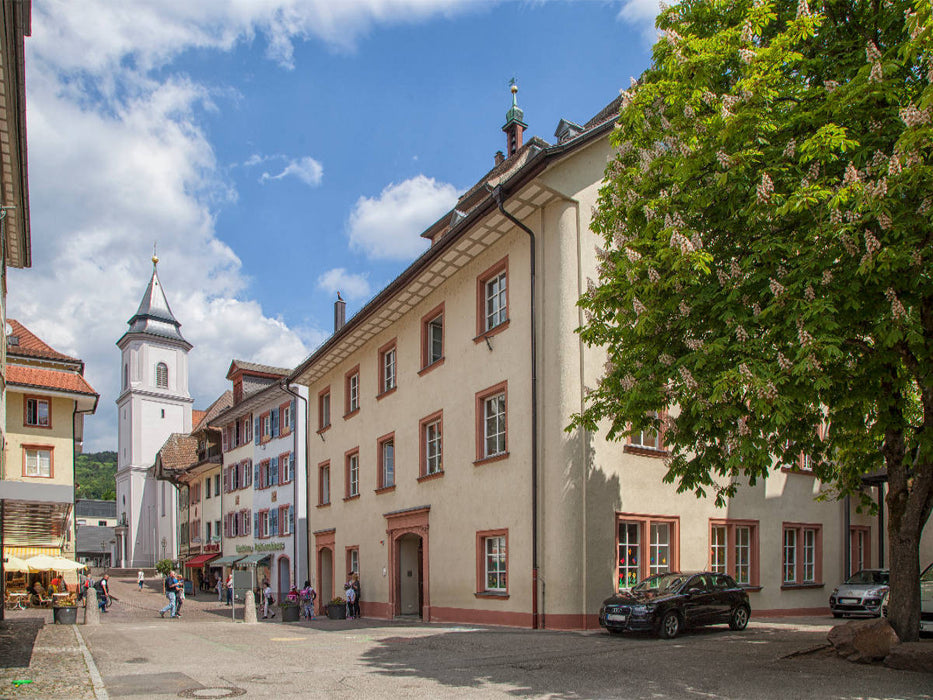 Waldshut - CALVENDO Foto-Puzzle'