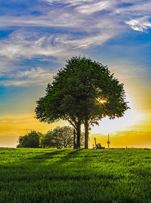 Stupfericher Kulturwanderpfad - CALVENDO Foto-Puzzle'