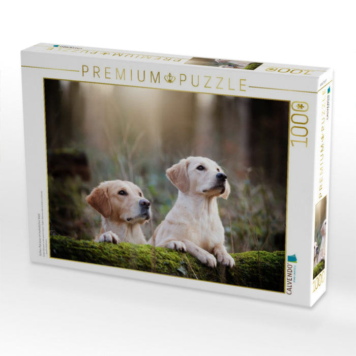 Golden Retriever im herbstlichen Wald - CALVENDO Foto-Puzzle'