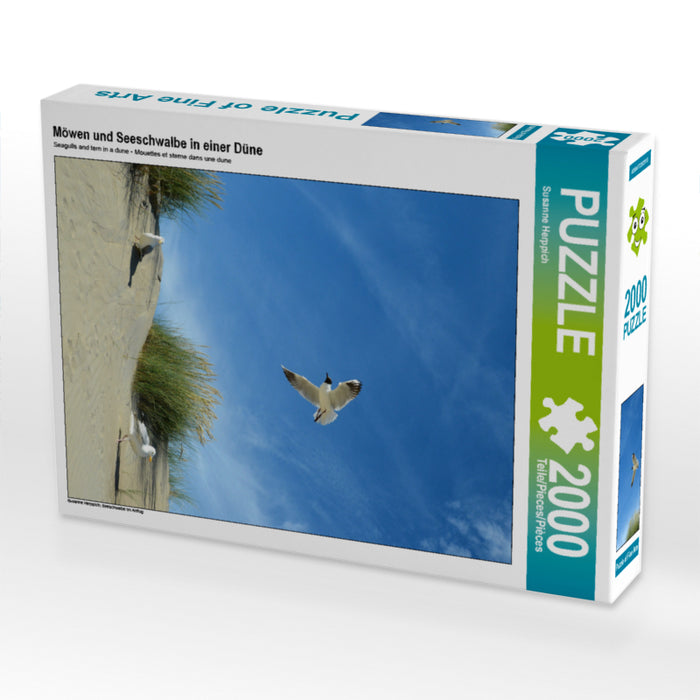 Seagulls and tern in a dune - CALVENDO photo puzzle 