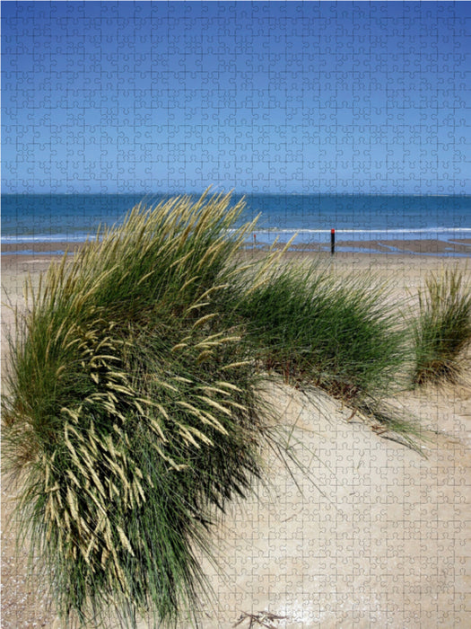 Beach grass in summer - CALVENDO photo puzzle 