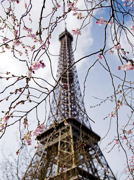 Frühling in Paris 2000 Teile Puzzle hoch - CALVENDO Foto-Puzzle'
