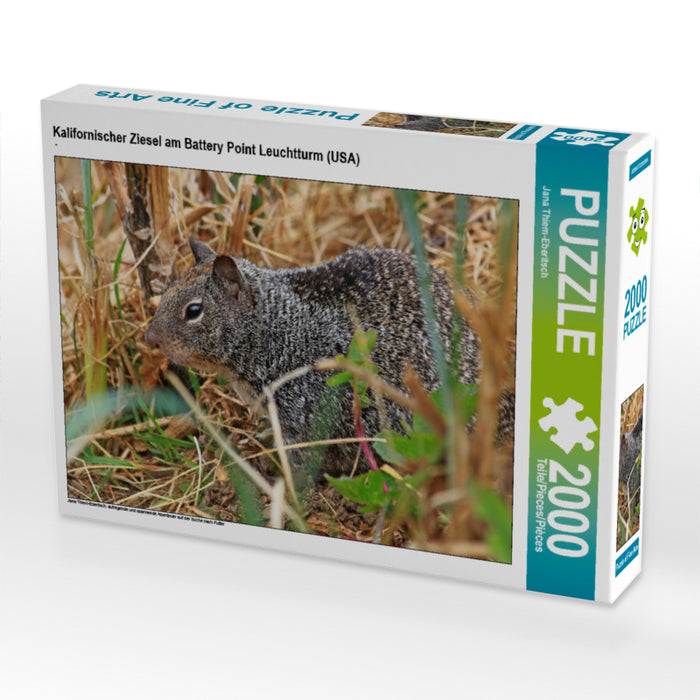 Kalifornischer Ziesel am Battery Point Leuchtturm (USA) 2000 Teile Puzzle quer - CALVENDO Foto-Puzzle'