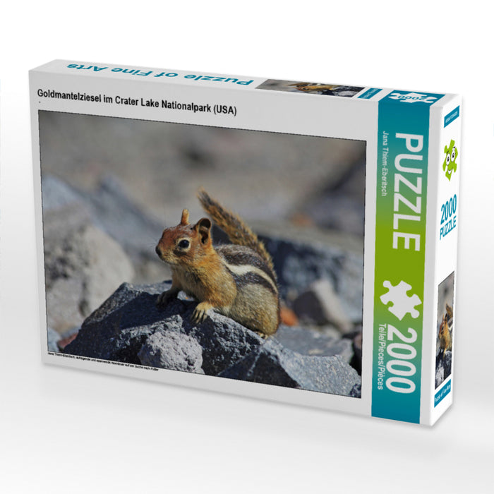 Goldmantelziesel im Crater Lake Nationalpark (USA) 2000 Teile Puzzle quer - CALVENDO Foto-Puzzle'