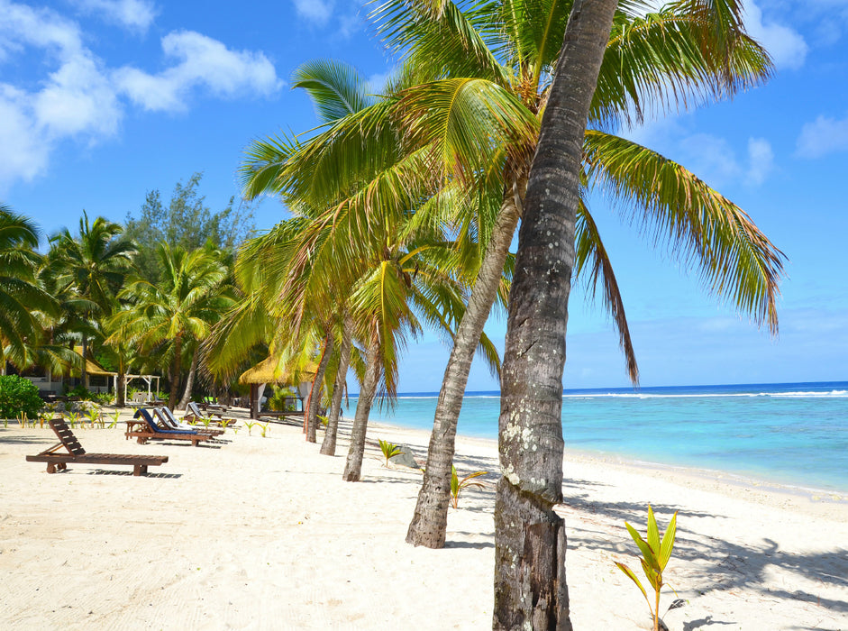 Powdered sugar beach with palm trees - CALVENDO photo puzzle 
